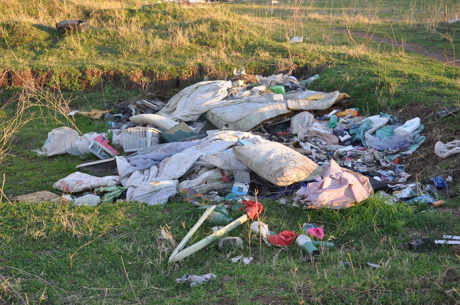Cumuli di rifiuti abbandonati sul prato
